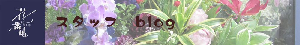 ԔԒnX^bt@blog
